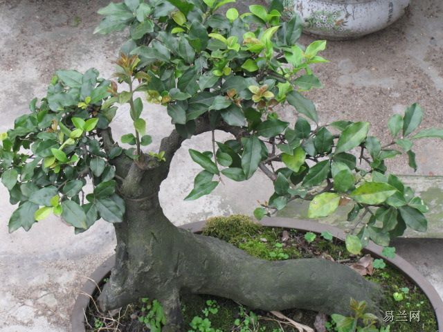 g2010092810582192.jpg