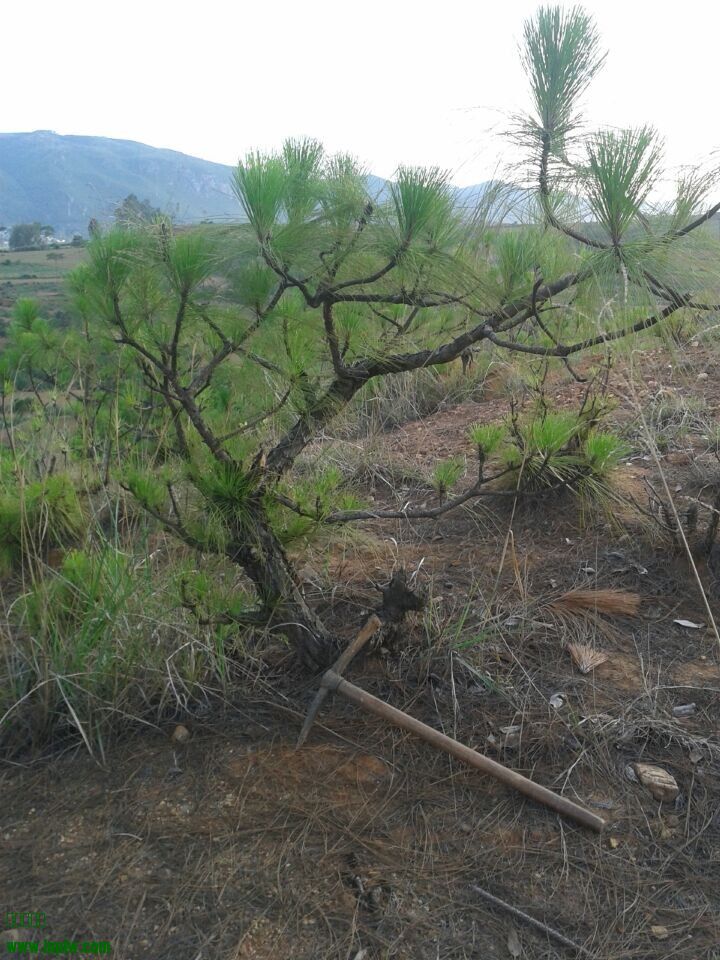 QQͼƬ20140624222019.jpg