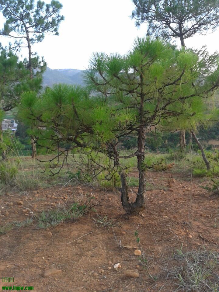 QQͼƬ20140624222027.jpg