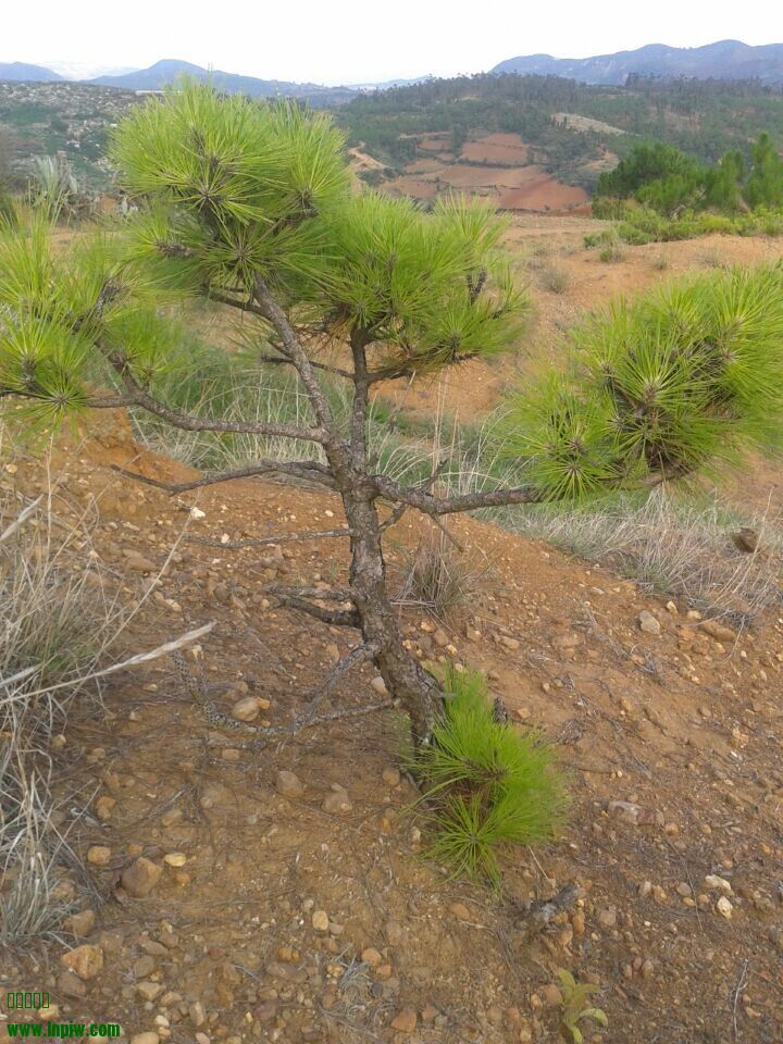QQͼƬ20140624222043.jpg