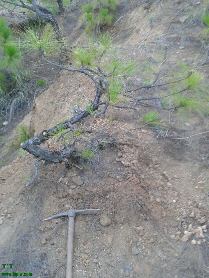 QQͼƬ20140624222049.jpg