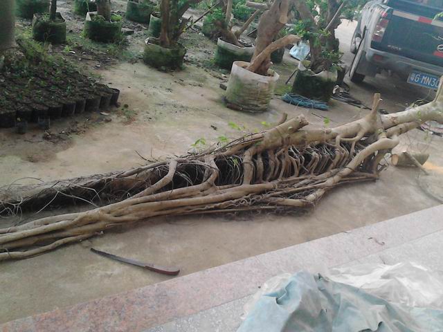 С IMG_20140525_163939.jpg