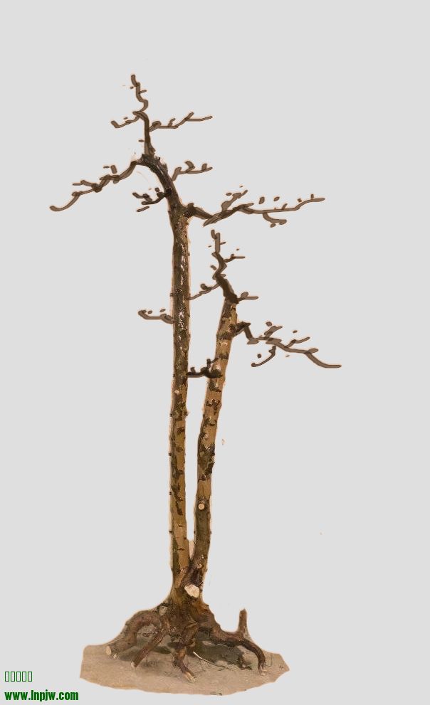 δ-1.jpg