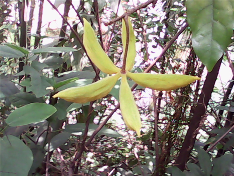 IMG_20140628_131025.jpg