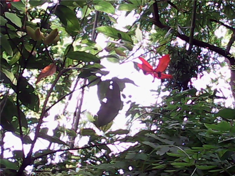 IMG_20140628_131251.jpg