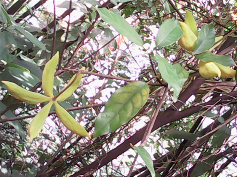 IMG_20140628_131257.jpg