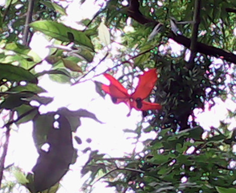 IMG_20140628_131251.jpg