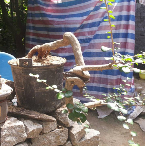 QQͼƬ20140618115801_.jpg