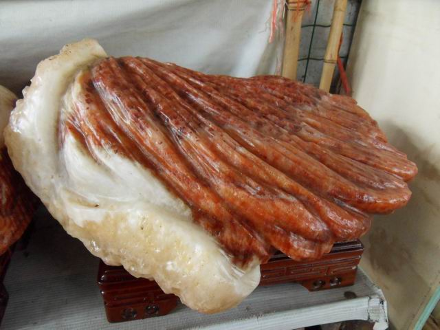 С SDC11481.JPG