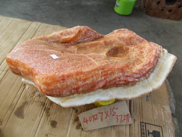 С SDC11601.JPG
