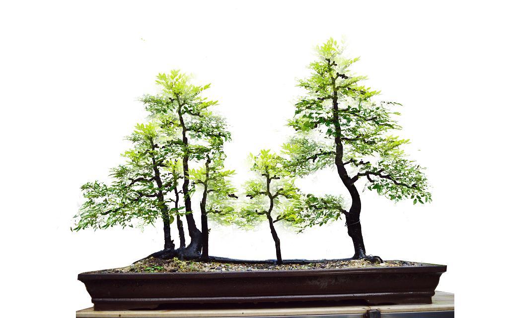 psb (11).jpg