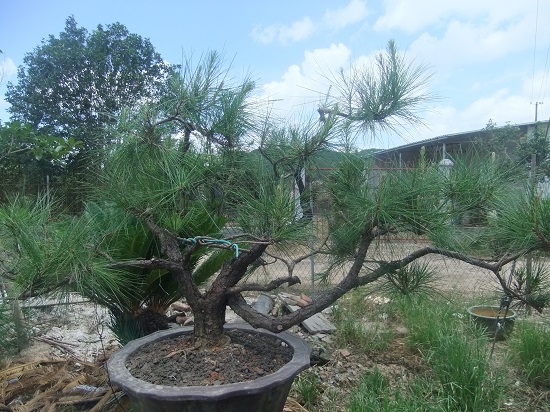 DSCF9605.JPG