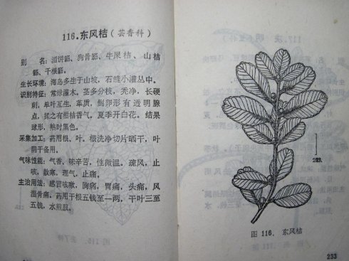 686db060g7473df3ce914&amp;690.jpg