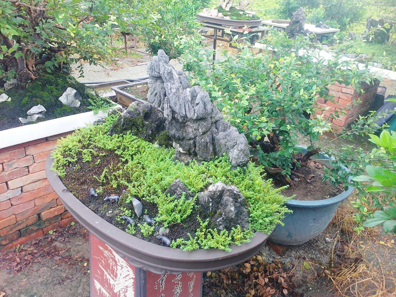 IMG20140701010.jpg