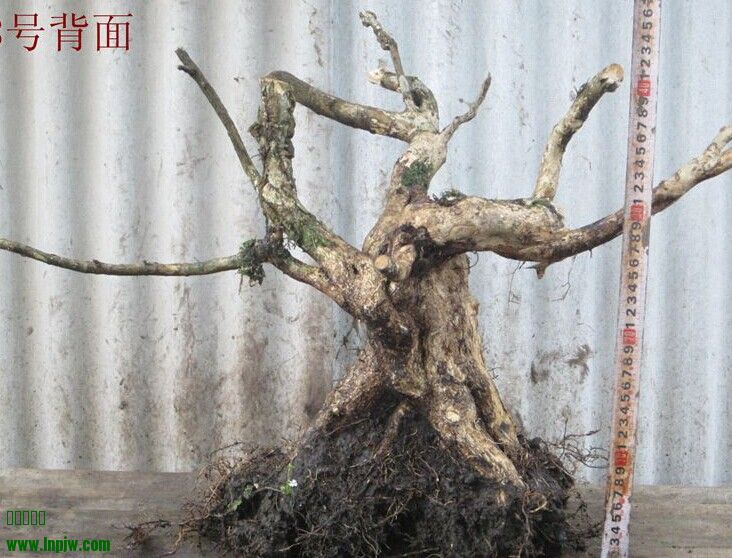 QQͼƬ20140620104621.jpg