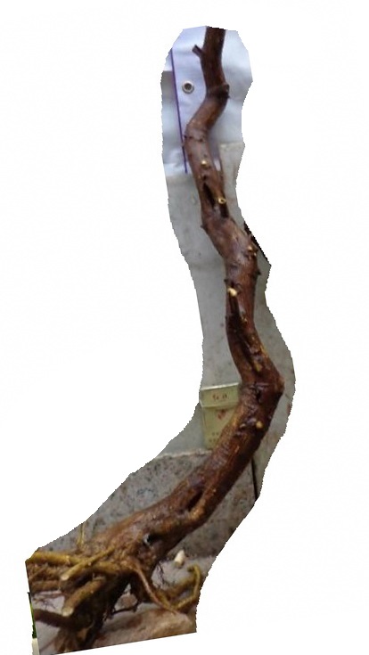 22312 - .jpg