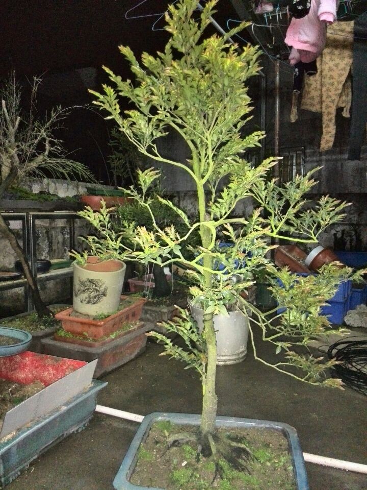 QQͼƬ20140312162929.jpg