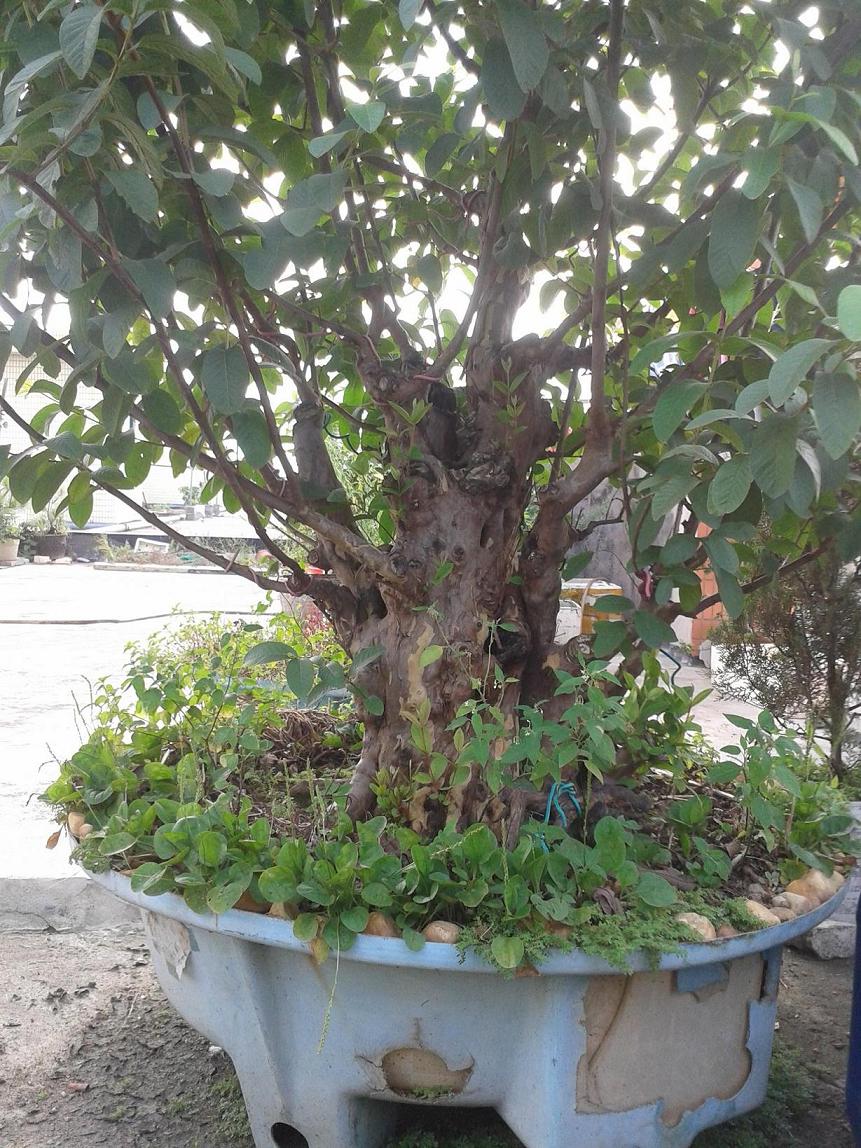 20140629_170141.jpg