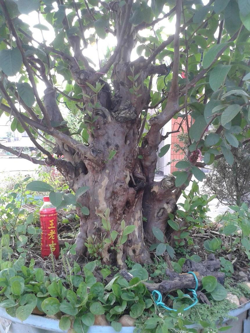 20140629_170328.jpg