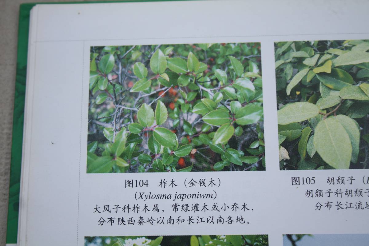 Ƭ20131026ۺ 1502.jpg