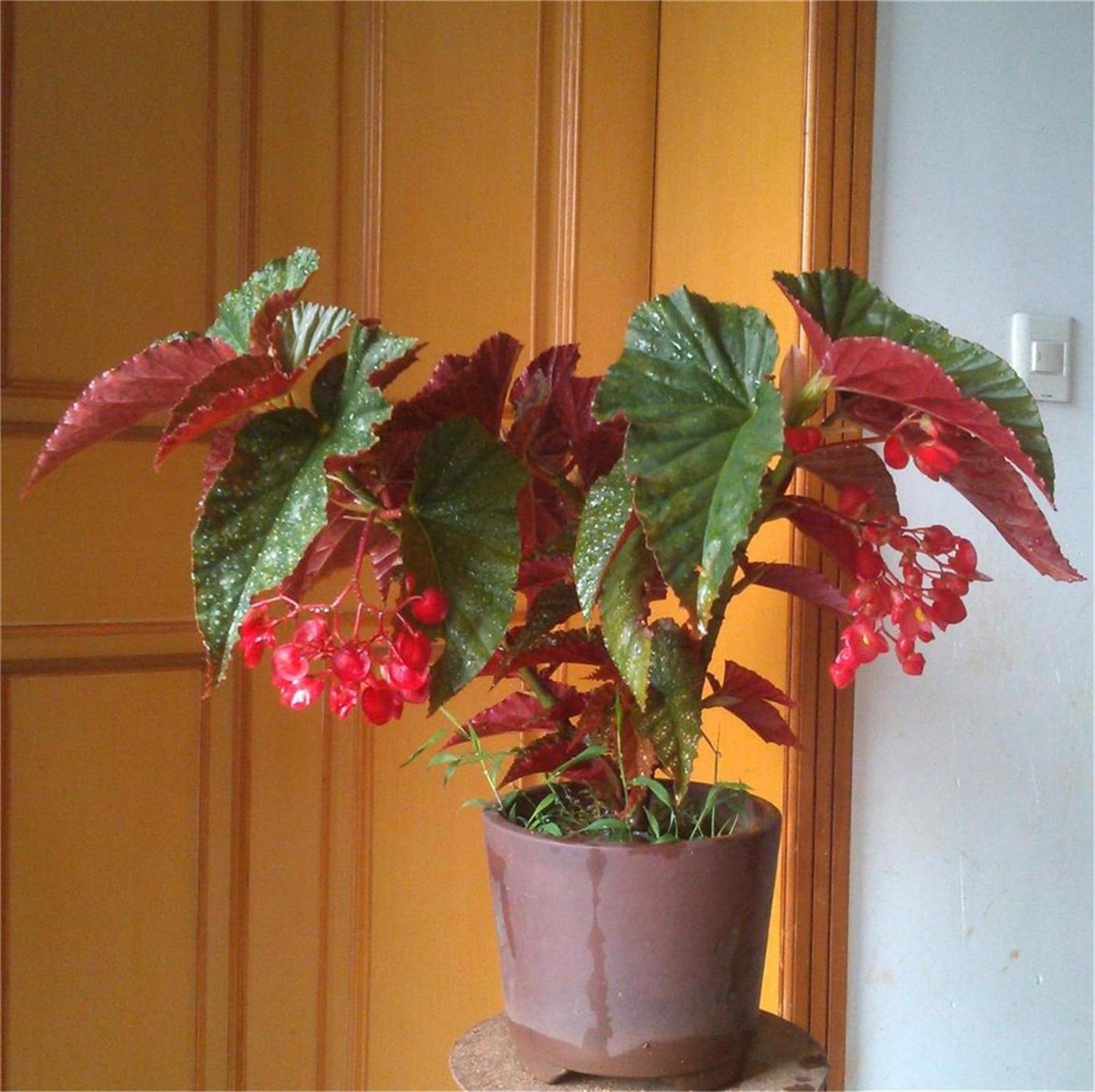 ں5jpg_2345.jpg