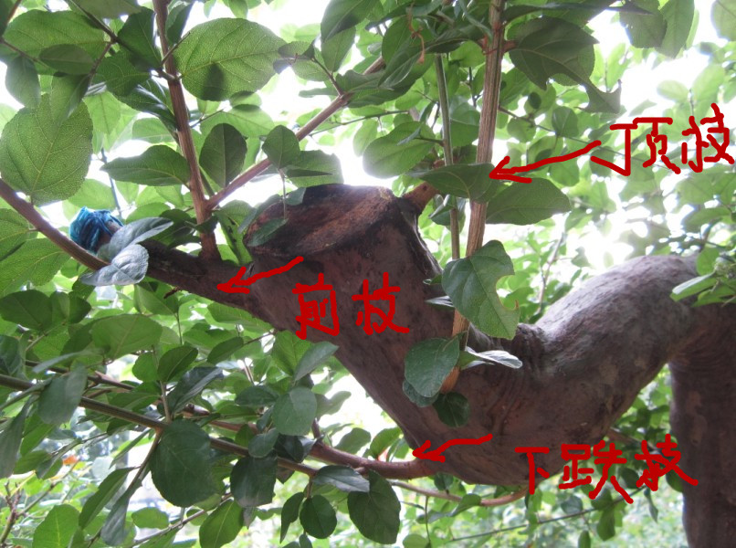 QQͼƬ20140707161040.jpg