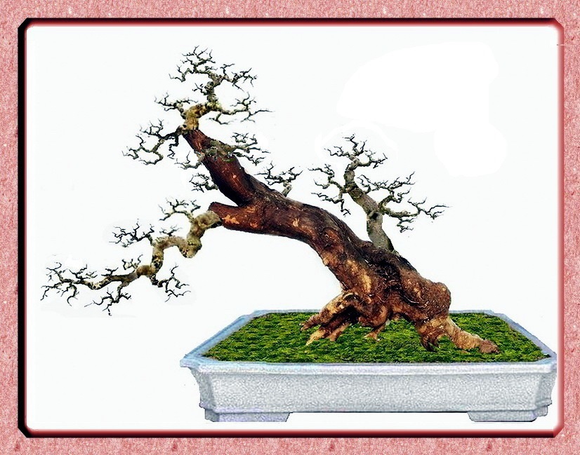 DSCF5369 (1) (1).jpg