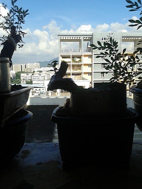 QQͼƬ20140709001419.jpg