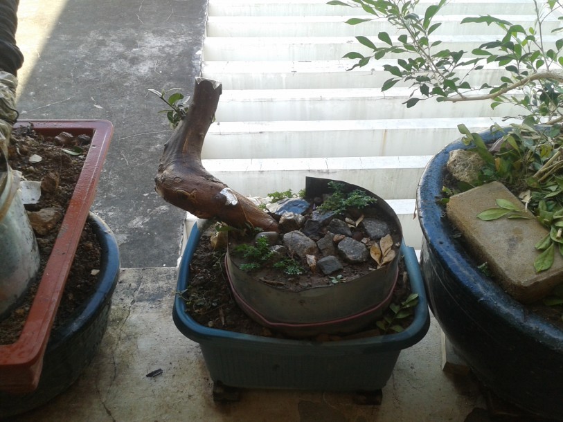 QQͼƬ20140709001446.jpg