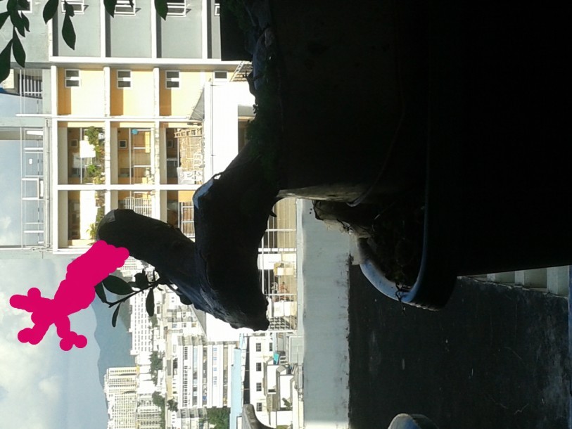QQͼƬ20140709001507.jpg