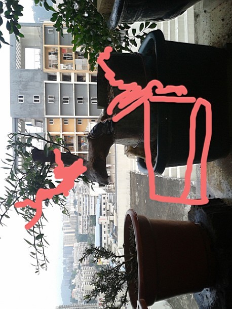 QQͼƬ20140709001523.jpg