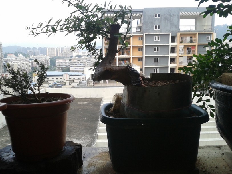 QQͼƬ20140709001541.jpg