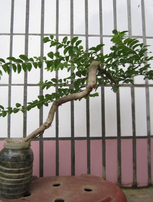 QQͼƬ20140710101857.jpg
