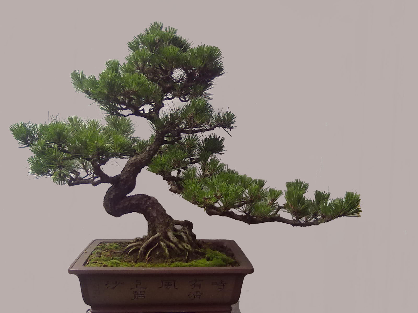 201405092504.jpg