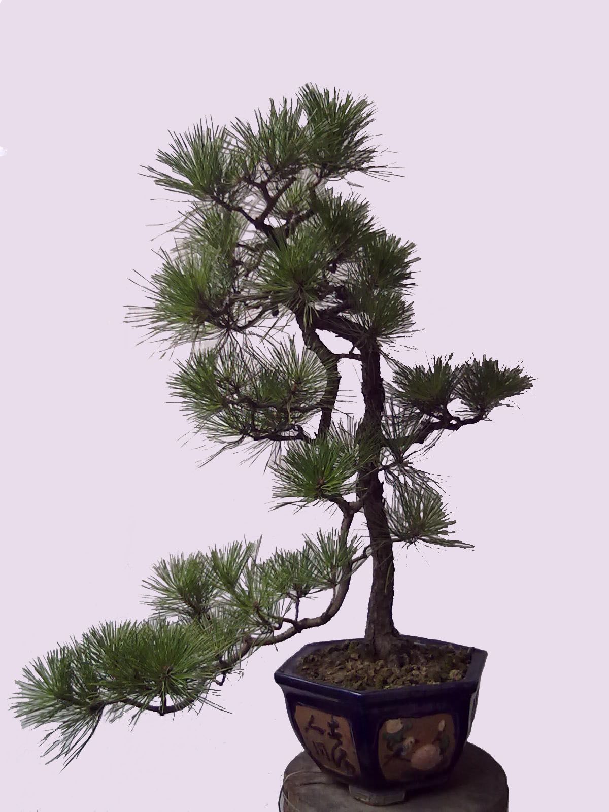 201306281779.jpg