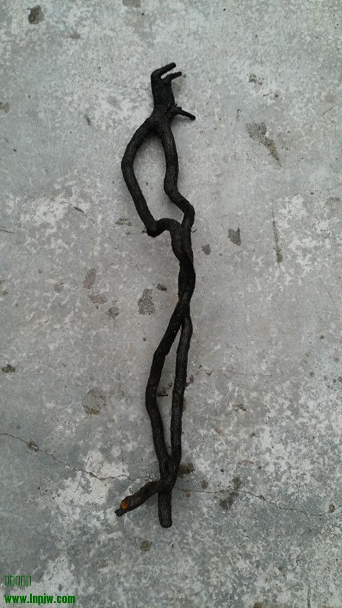 17.jpg