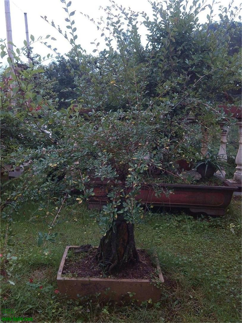 ҵĽȸ11.jpg