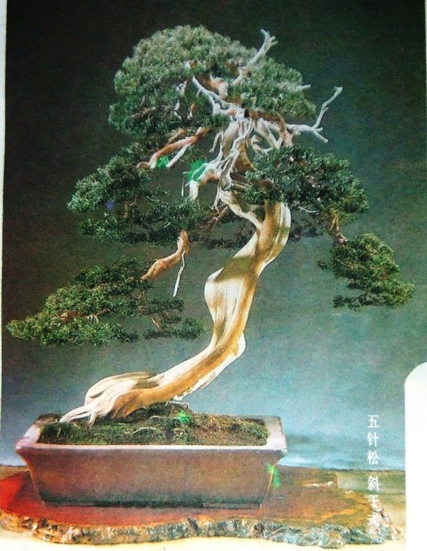 DSCF5581.JPG