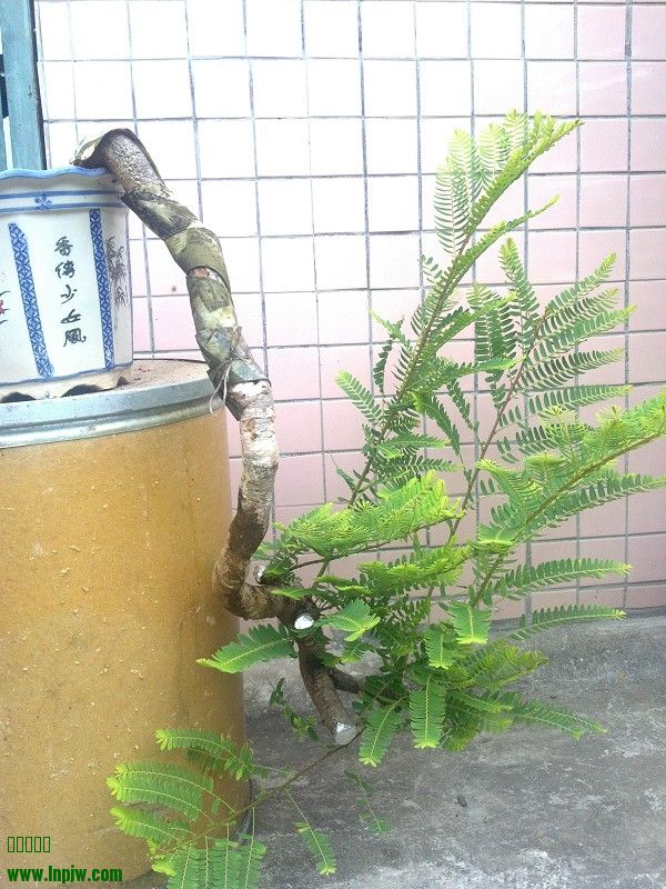 2014-07-14_07-58-14_43_www.moumu.com.jpg