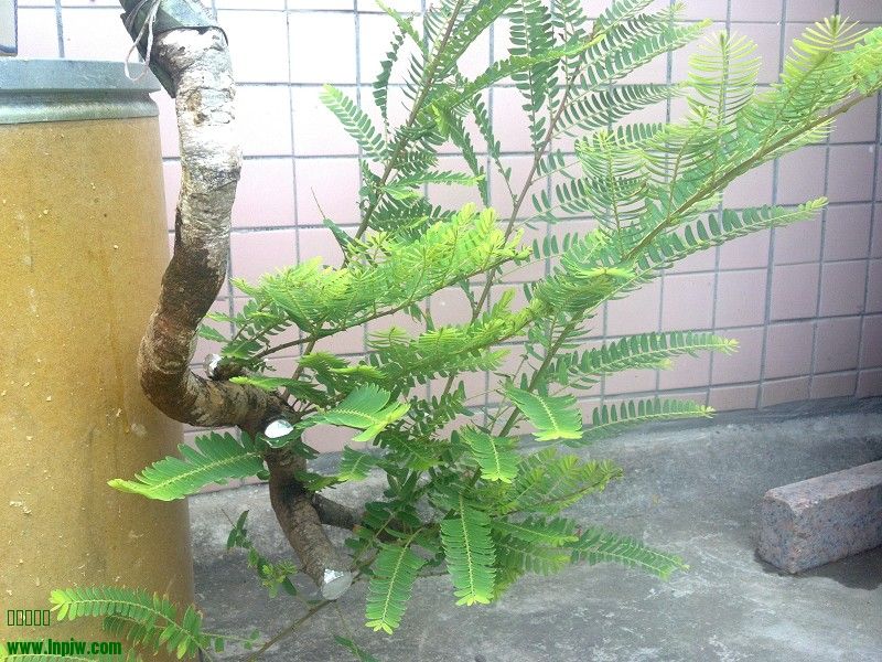 2014-07-14_07-59-23_149_www.moumu.com.jpg
