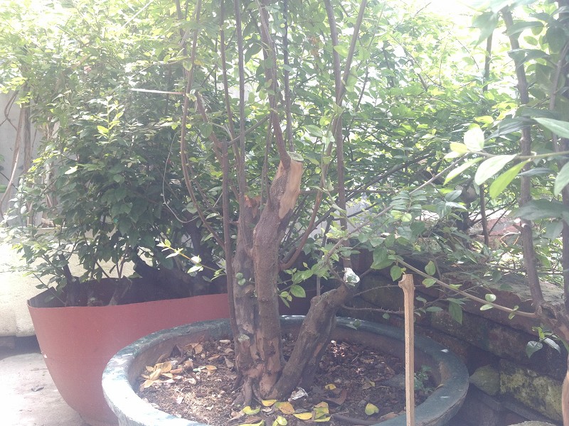 2014-07-13_10-16-08_34_www.moumu.com.jpg