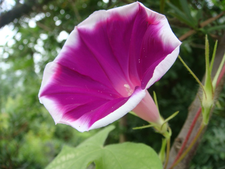 DSC07643.jpg