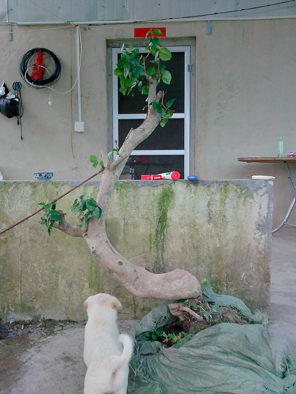 IMG20140714007_.jpg
