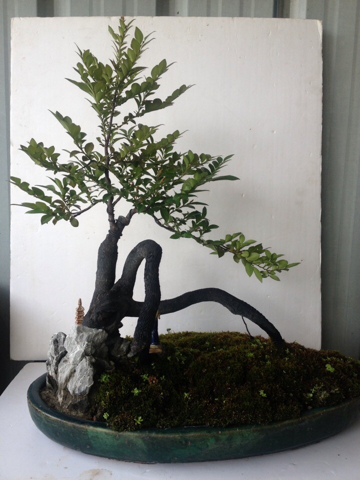 QQͼƬ20140716220647.jpg