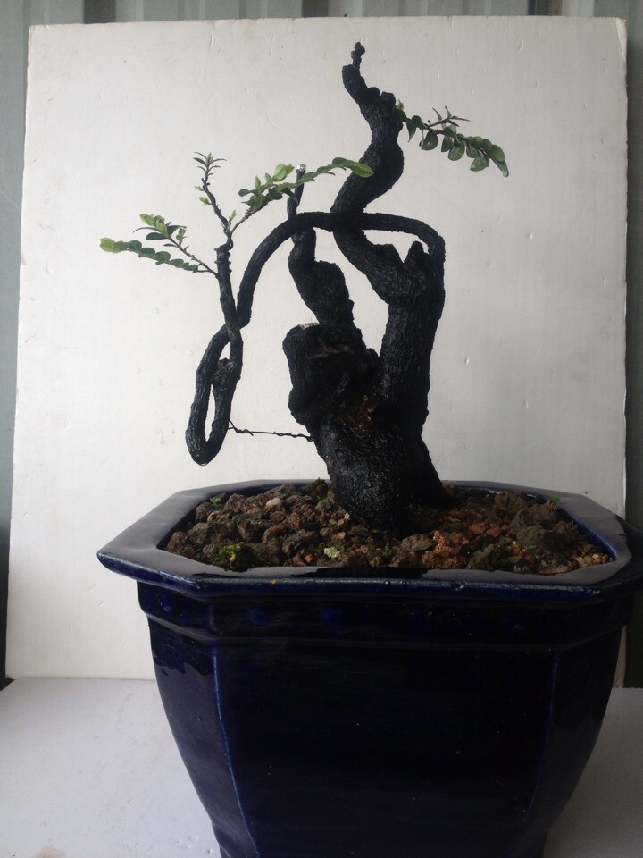 QQͼƬ20140716220710.jpg