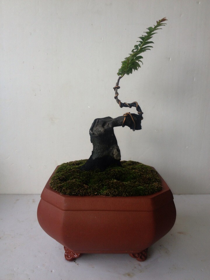 QQͼƬ20140716220654.jpg