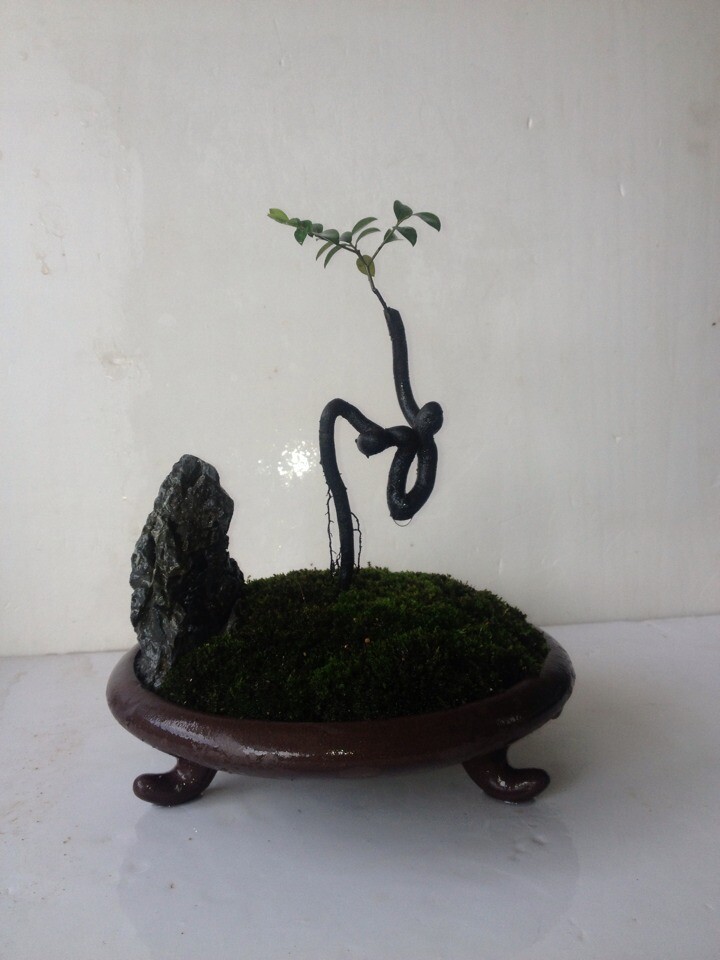 QQͼƬ20140716220714.jpg
