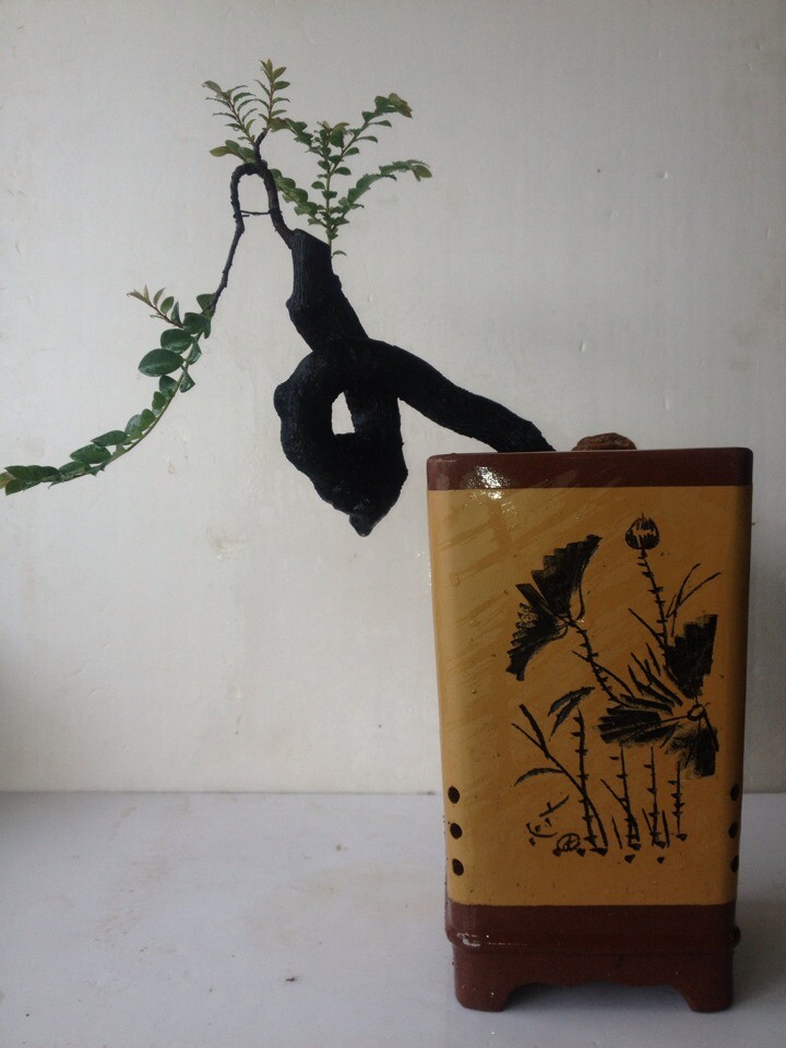 QQͼƬ20140716220721.jpg