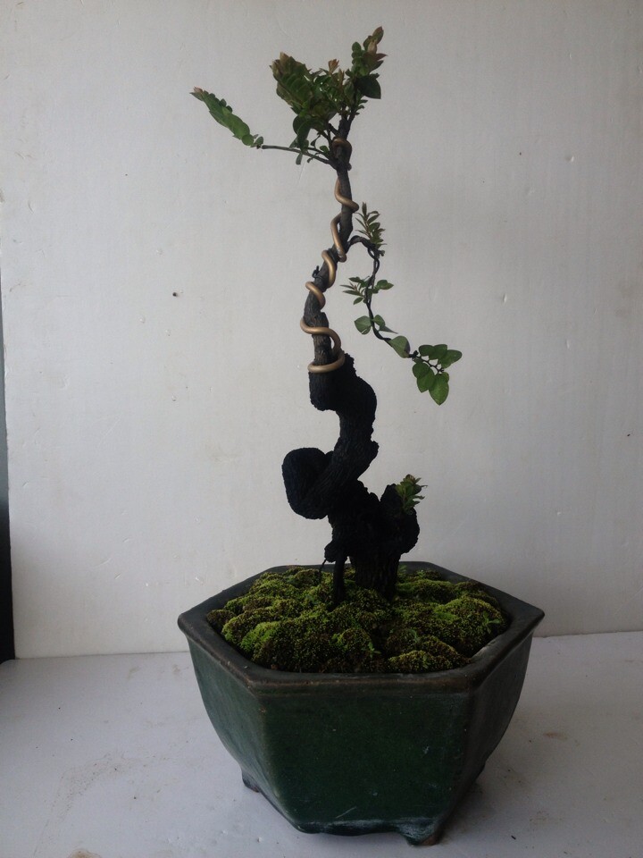 QQͼƬ20140716220730.jpg