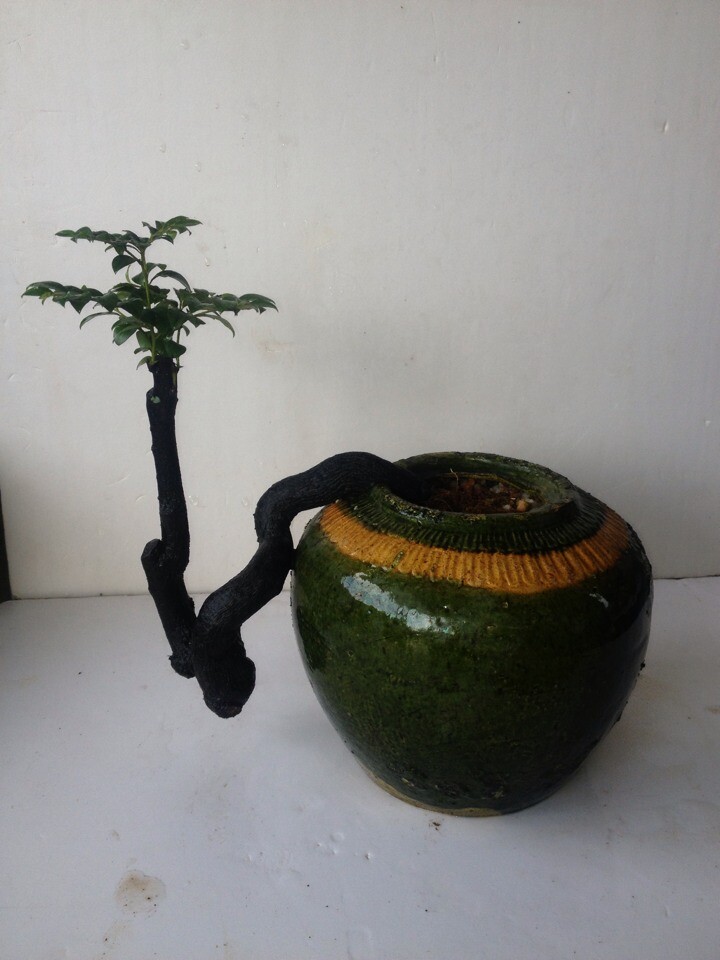 QQͼƬ20140716220734.jpg